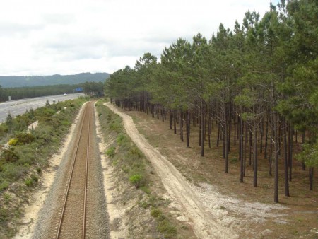 Sub-concessão Litoral Oeste